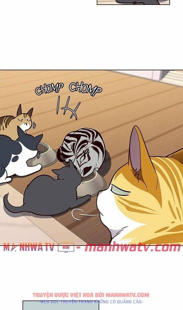 Hoá Thân Thành Mèo Chapter 56 - Trang 2