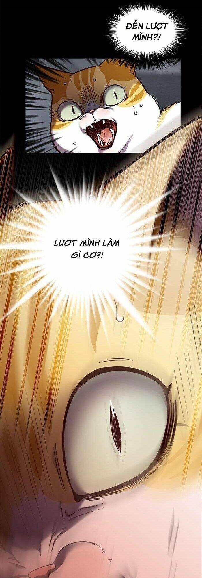 Hoá Thân Thành Mèo Chapter 56 - Trang 2