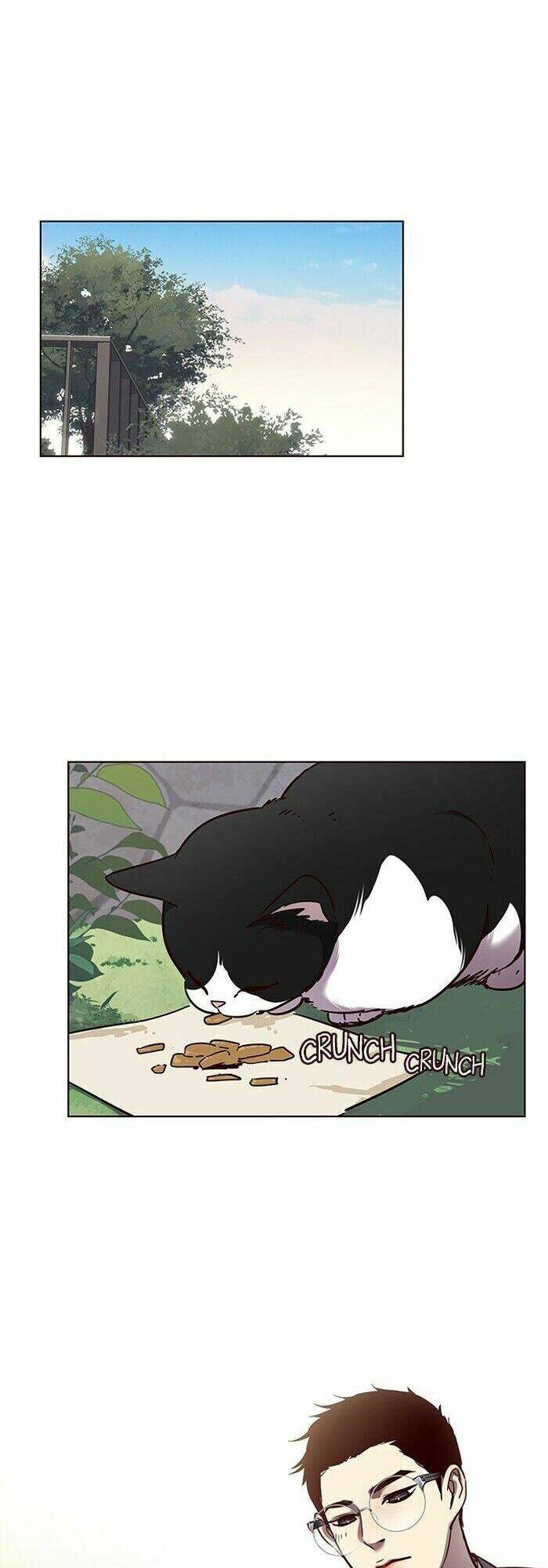 Hoá Thân Thành Mèo Chapter 57 - Trang 2