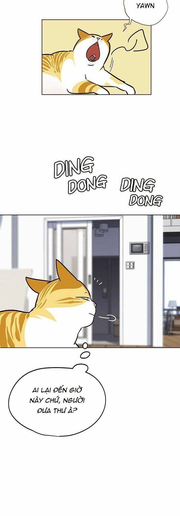 Hoá Thân Thành Mèo Chapter 57 - Trang 2