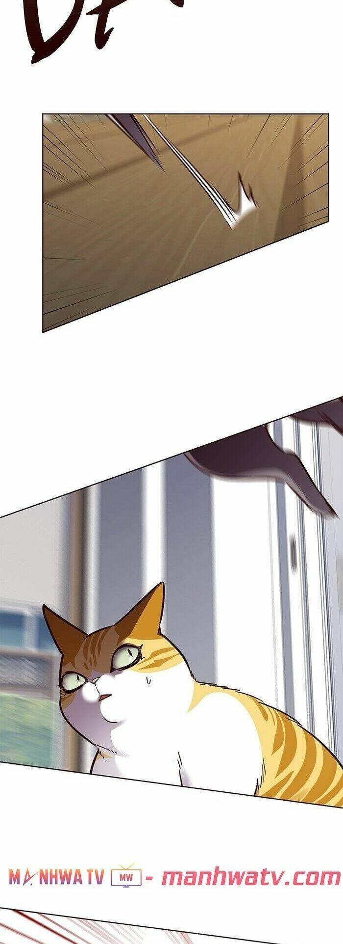 Hoá Thân Thành Mèo Chapter 58 - Trang 2