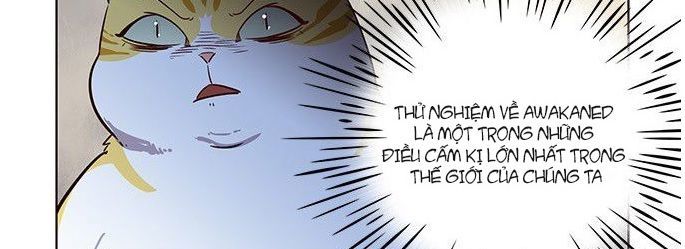 Hoá Thân Thành Mèo Chapter 6 - Trang 2