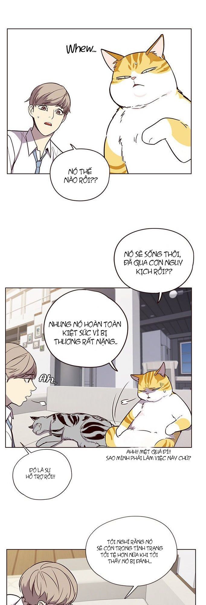 Hoá Thân Thành Mèo Chapter 6 - Trang 2