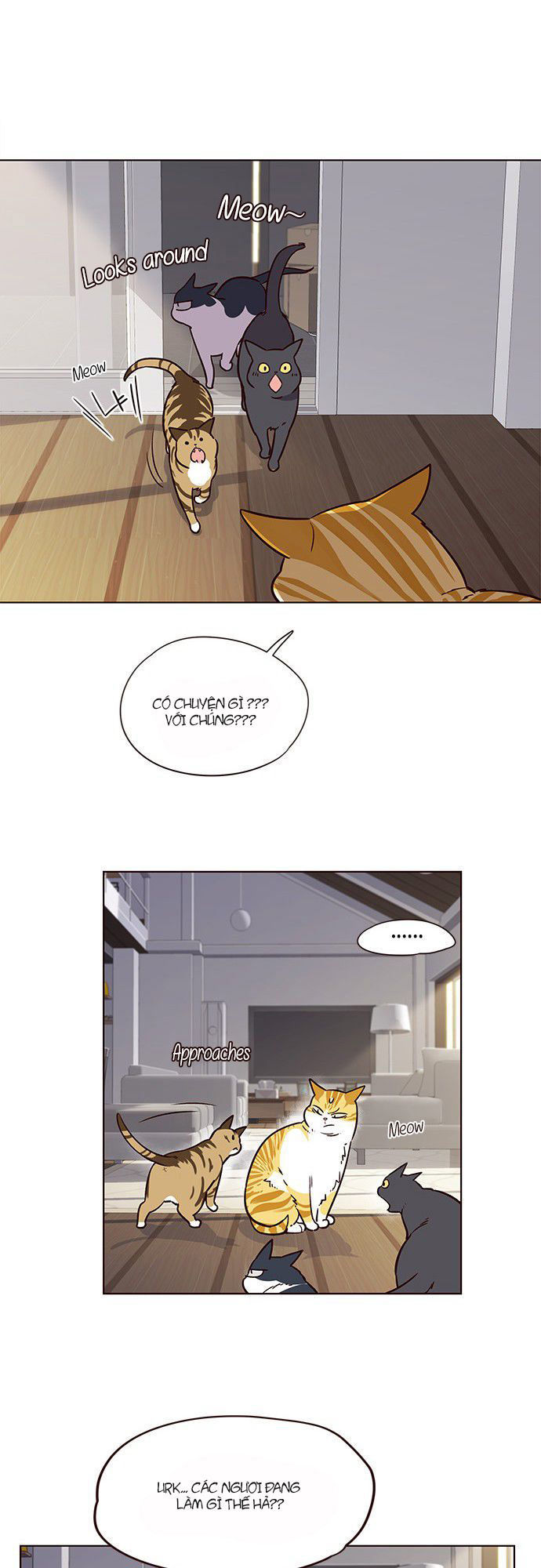 Hoá Thân Thành Mèo Chapter 6 - Trang 2