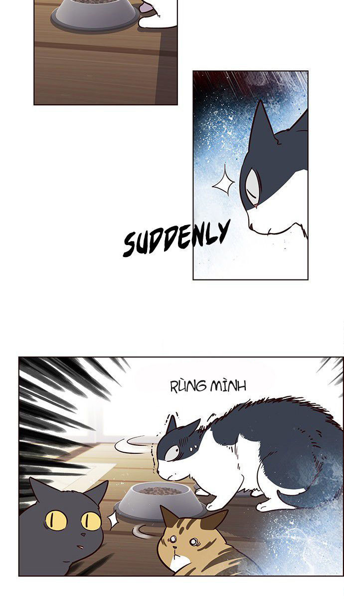 Hoá Thân Thành Mèo Chapter 6 - Trang 2