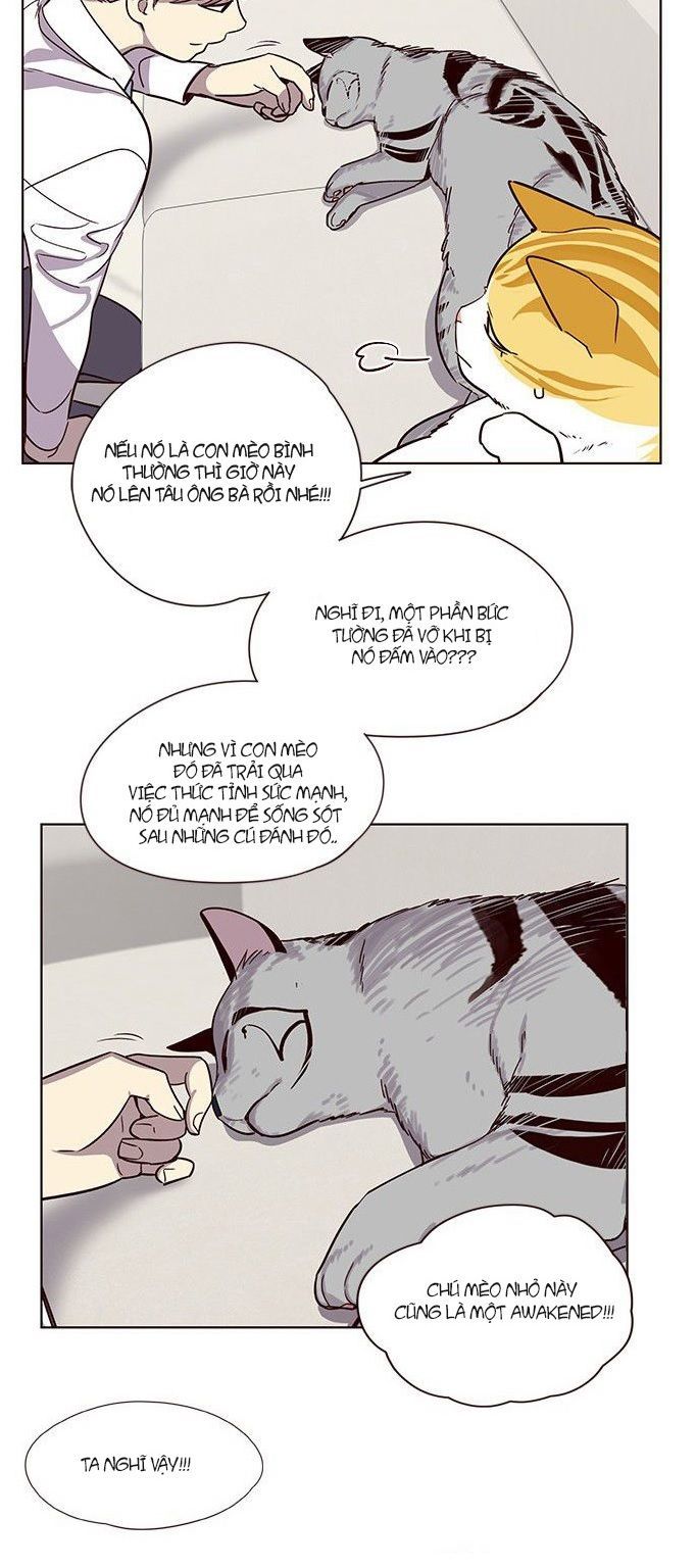 Hoá Thân Thành Mèo Chapter 6 - Trang 2