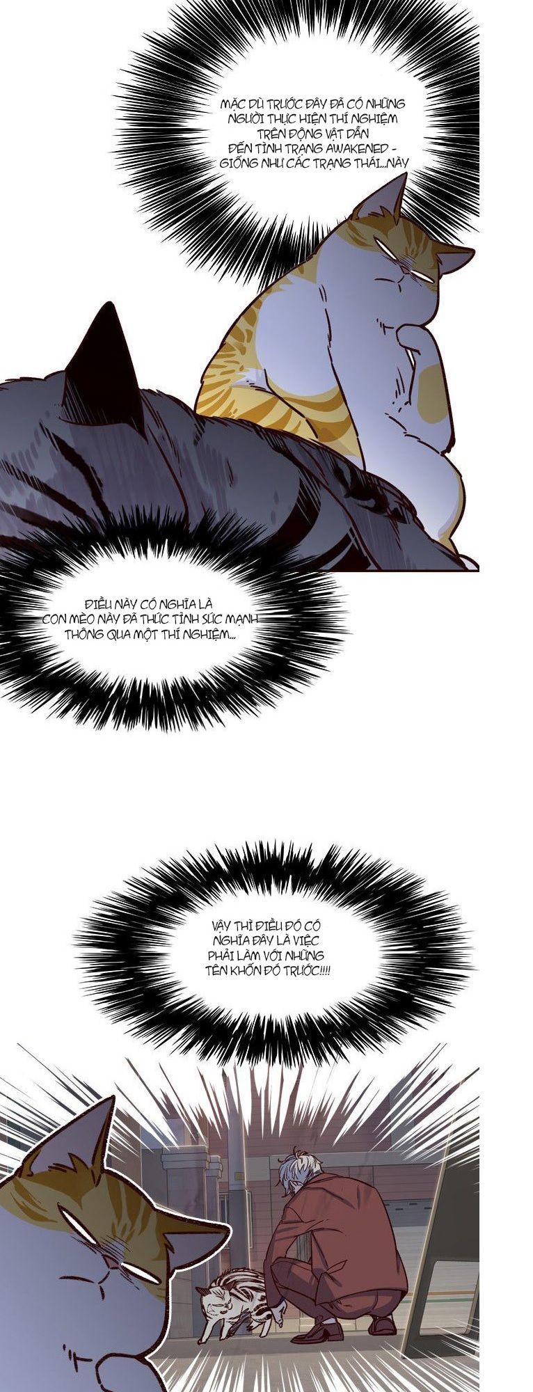 Hoá Thân Thành Mèo Chapter 6 - Trang 2