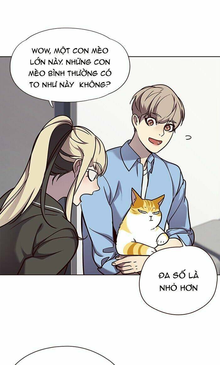 Hoá Thân Thành Mèo Chapter 62 - Trang 2