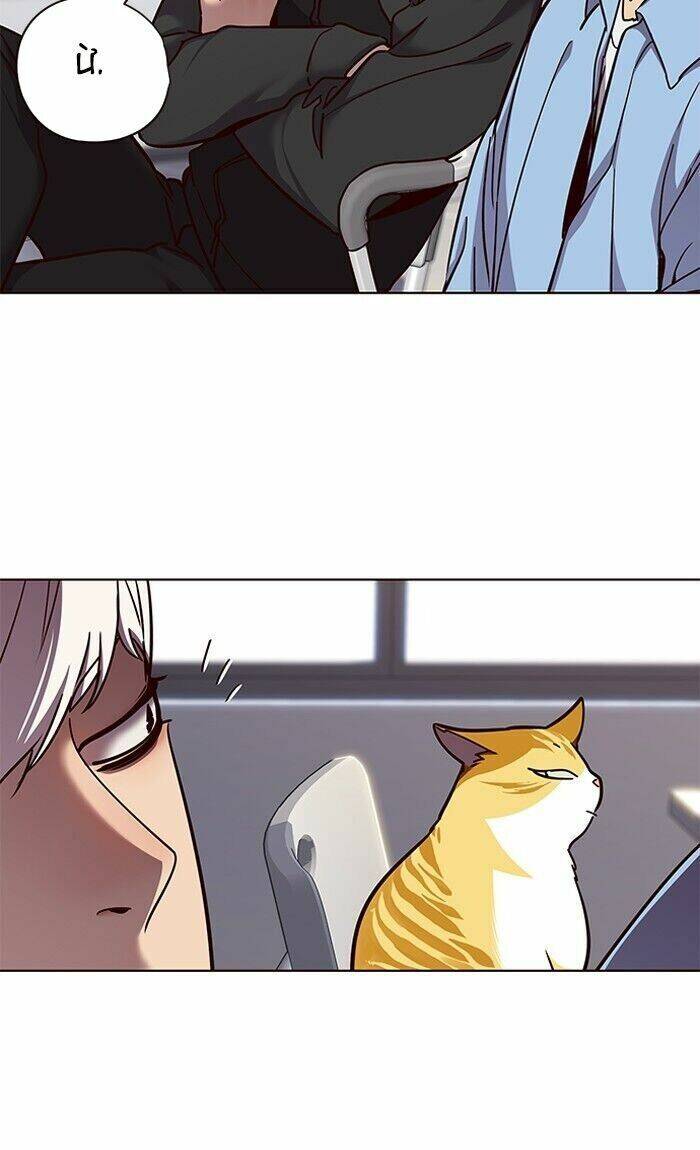 Hoá Thân Thành Mèo Chapter 62 - Trang 2