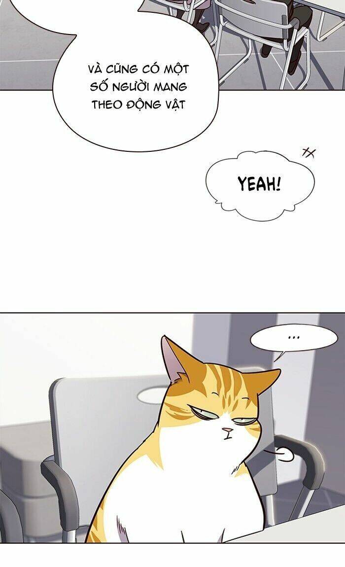 Hoá Thân Thành Mèo Chapter 62 - Trang 2