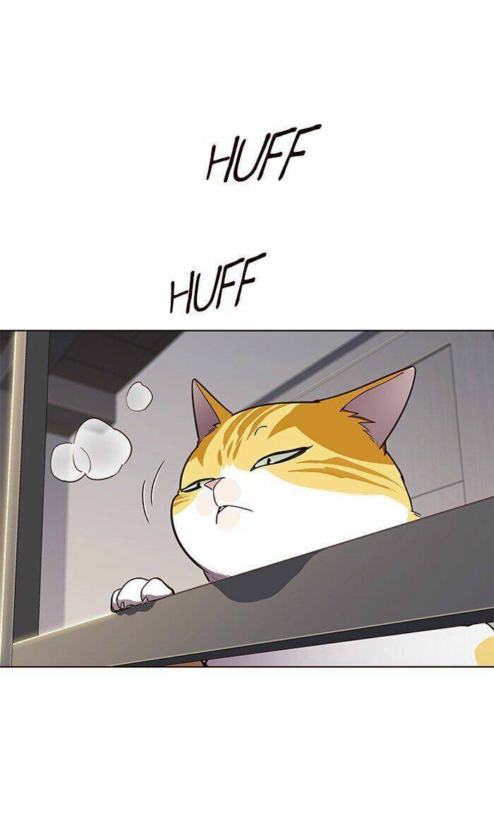 Hoá Thân Thành Mèo Chapter 64 - Trang 2