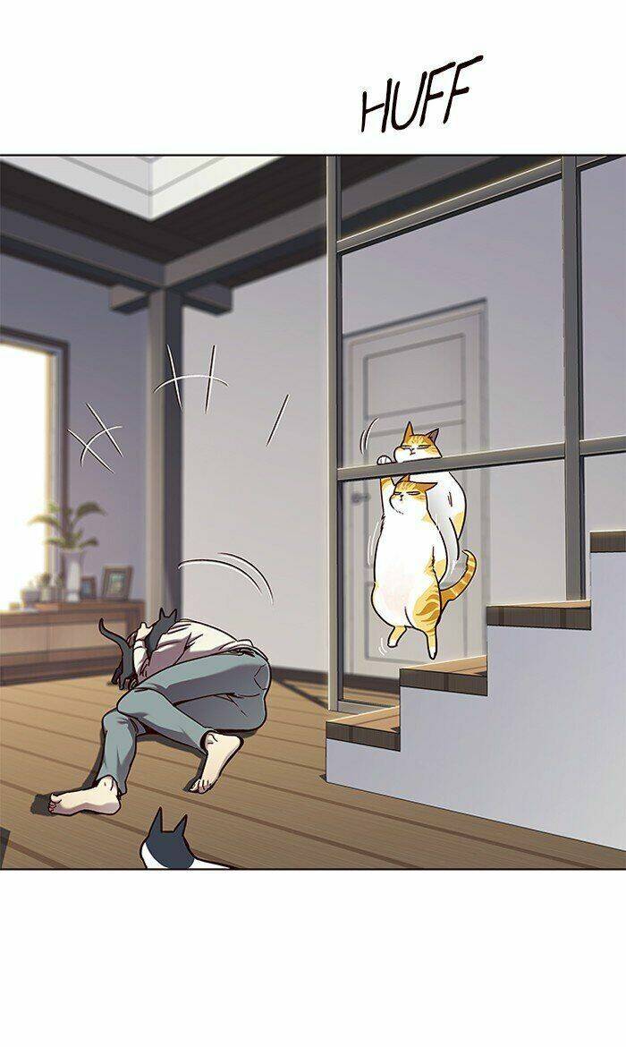Hoá Thân Thành Mèo Chapter 64 - Trang 2