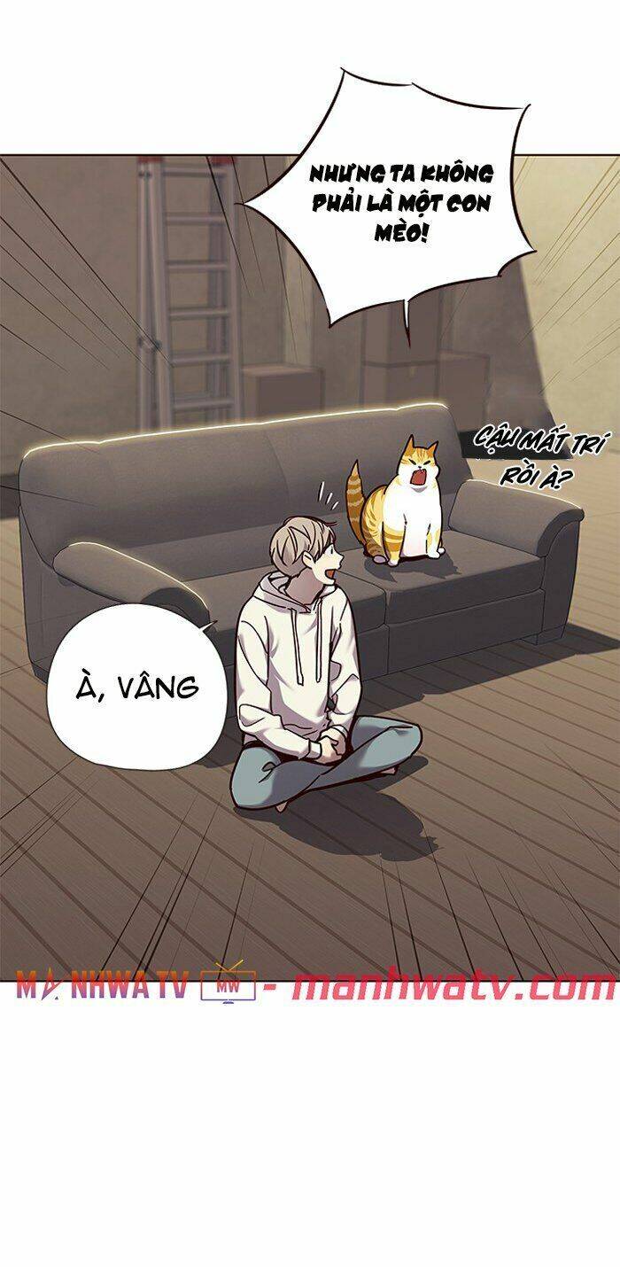 Hoá Thân Thành Mèo Chapter 65 - Trang 2