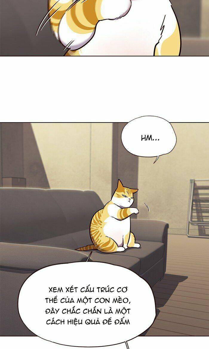Hoá Thân Thành Mèo Chapter 65 - Trang 2