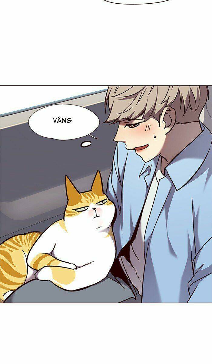 Hoá Thân Thành Mèo Chapter 67 - Trang 2