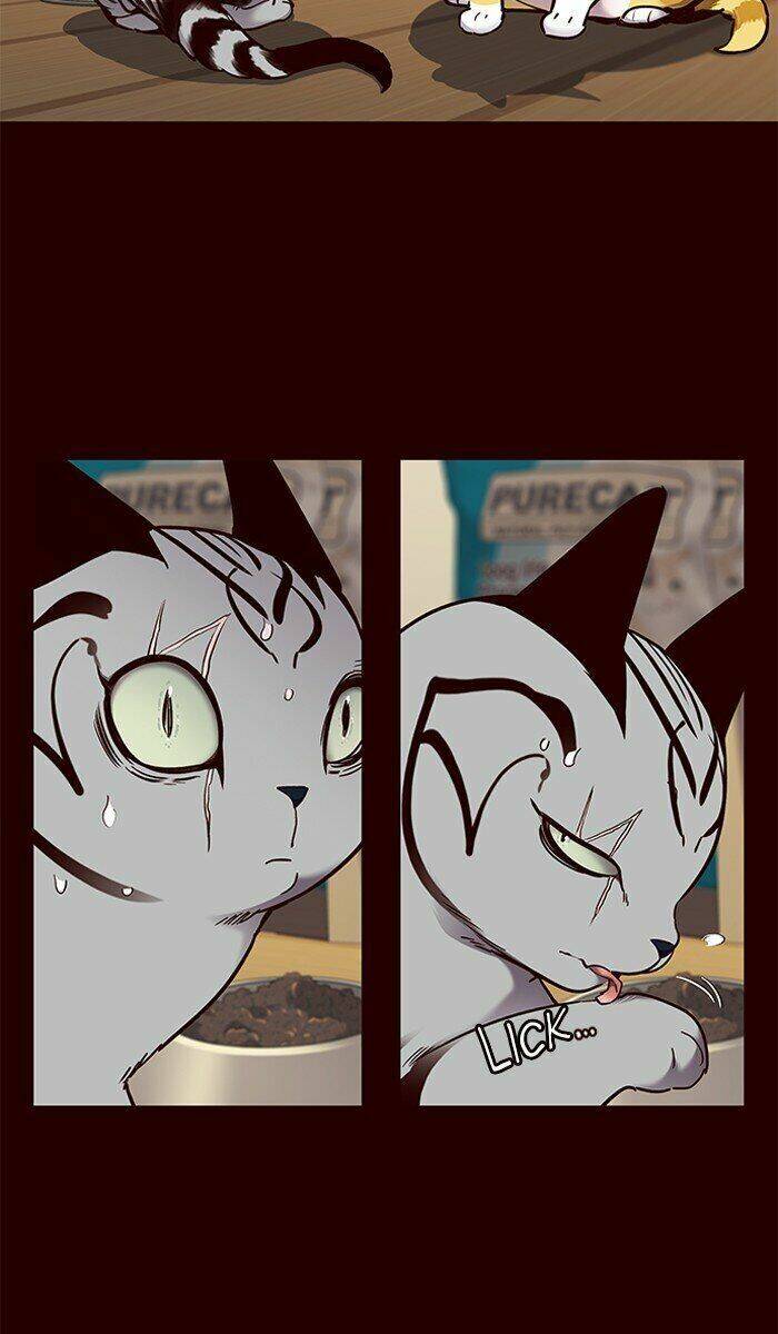 Hoá Thân Thành Mèo Chapter 67 - Trang 2