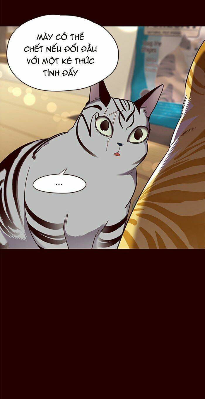 Hoá Thân Thành Mèo Chapter 67 - Trang 2
