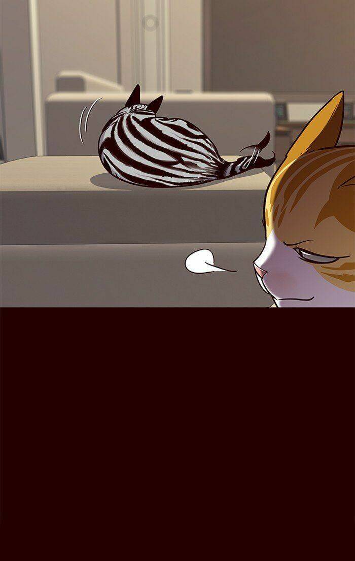 Hoá Thân Thành Mèo Chapter 67 - Trang 2