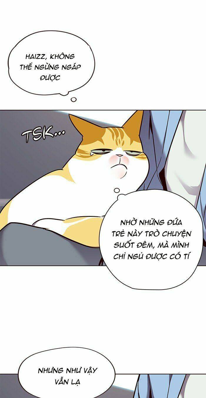 Hoá Thân Thành Mèo Chapter 67 - Trang 2