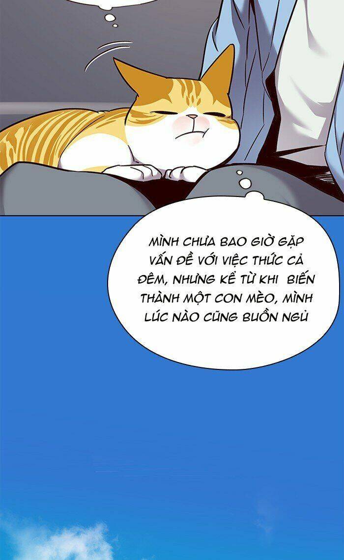 Hoá Thân Thành Mèo Chapter 67 - Trang 2