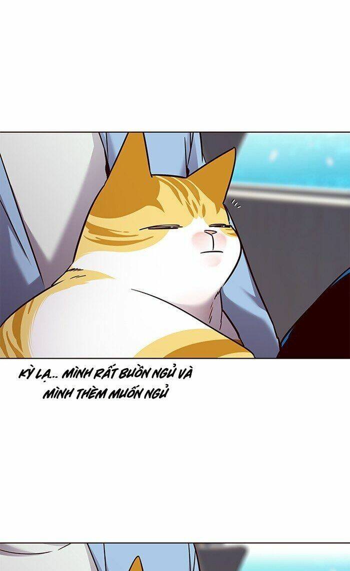 Hoá Thân Thành Mèo Chapter 67 - Trang 2