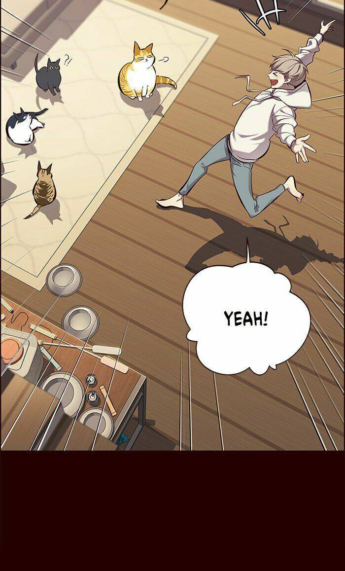 Hoá Thân Thành Mèo Chapter 67 - Trang 2