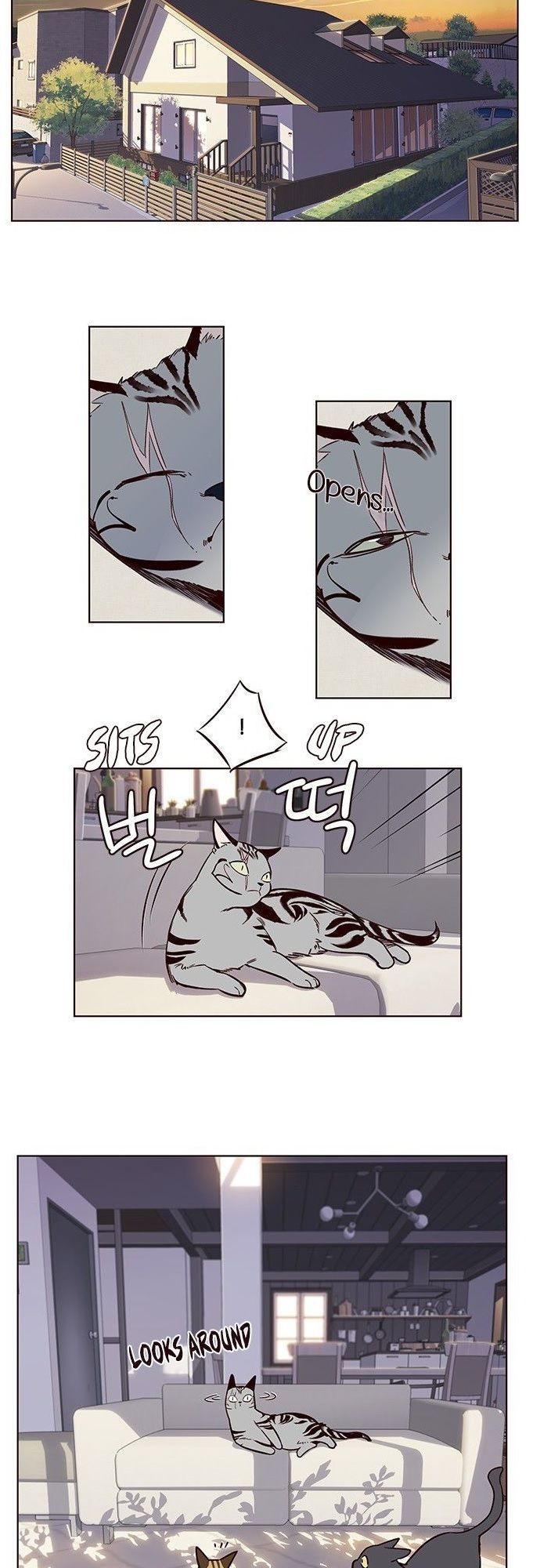 Hoá Thân Thành Mèo Chapter 7 - Trang 2