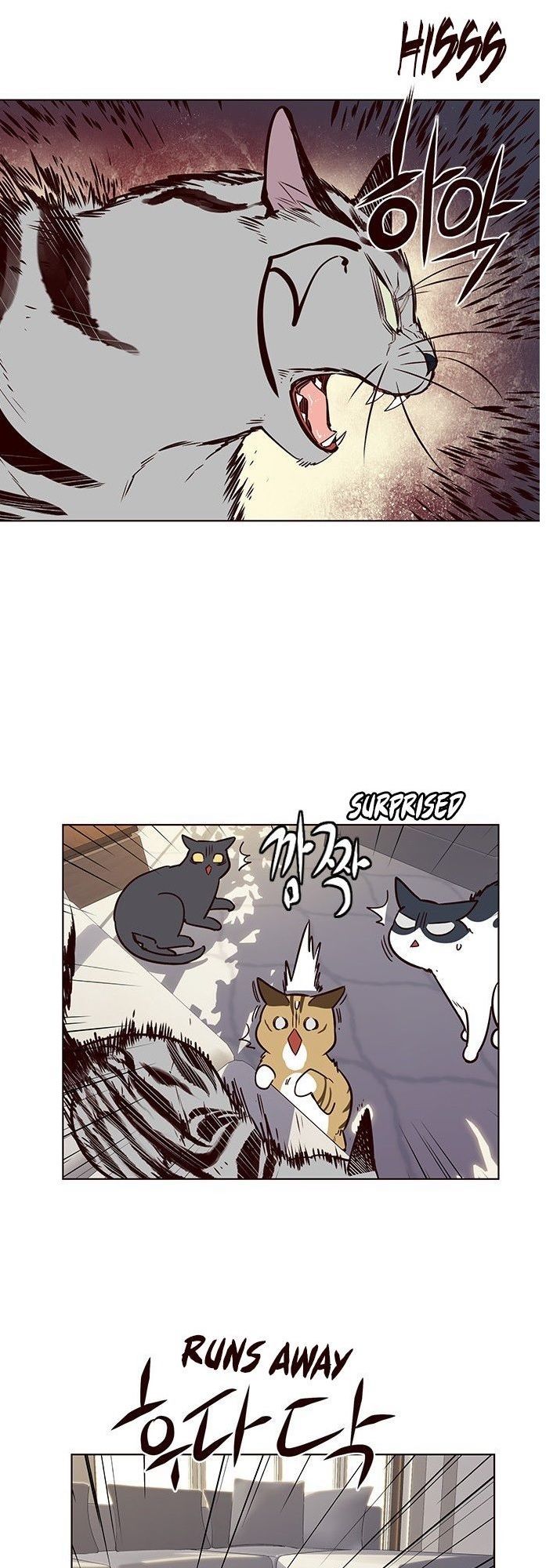 Hoá Thân Thành Mèo Chapter 7 - Trang 2