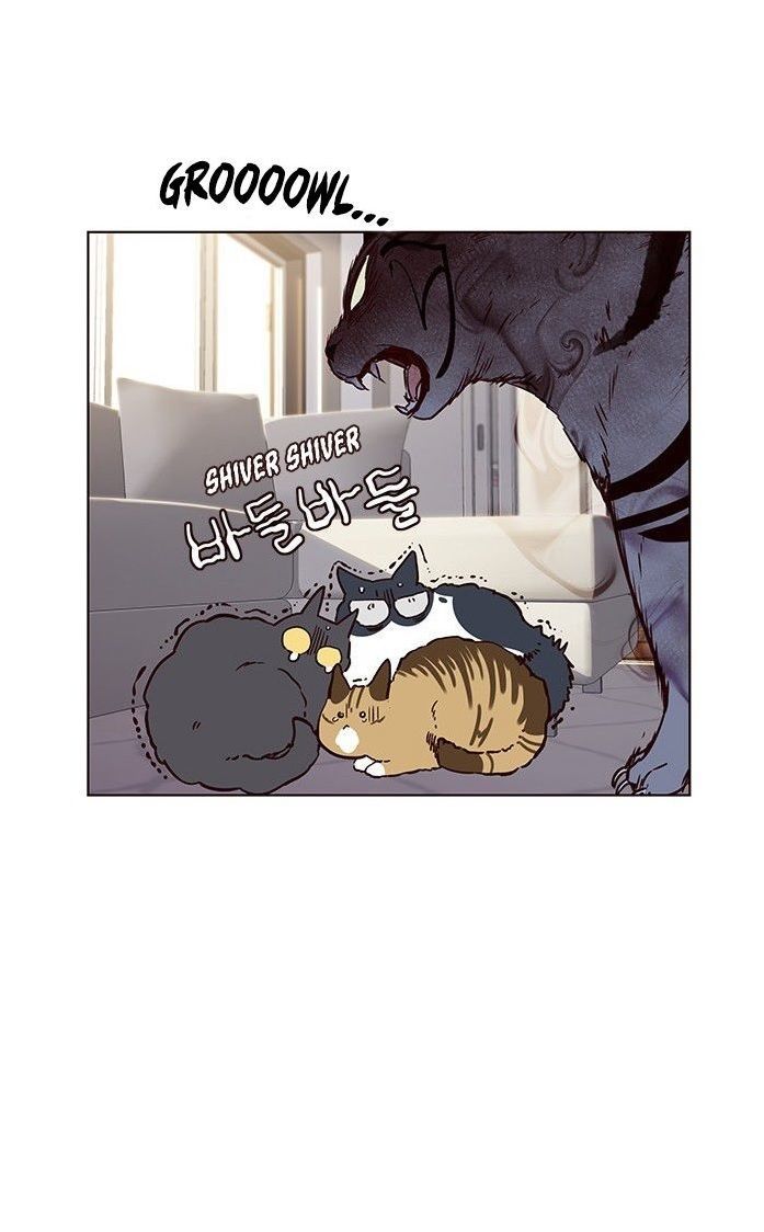 Hoá Thân Thành Mèo Chapter 7 - Trang 2