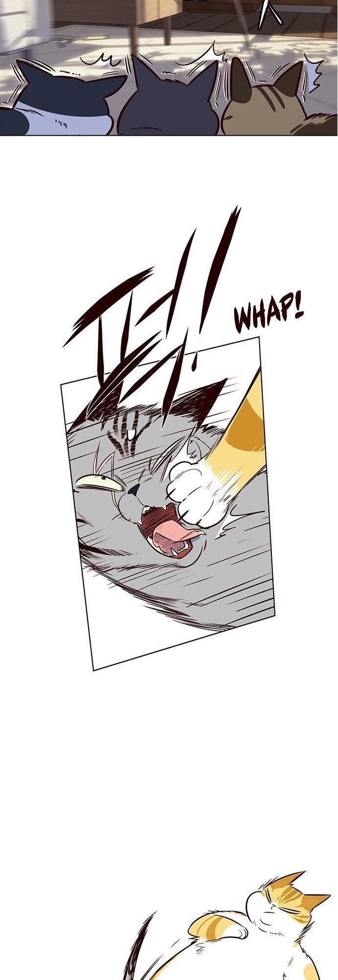 Hoá Thân Thành Mèo Chapter 7 - Trang 2