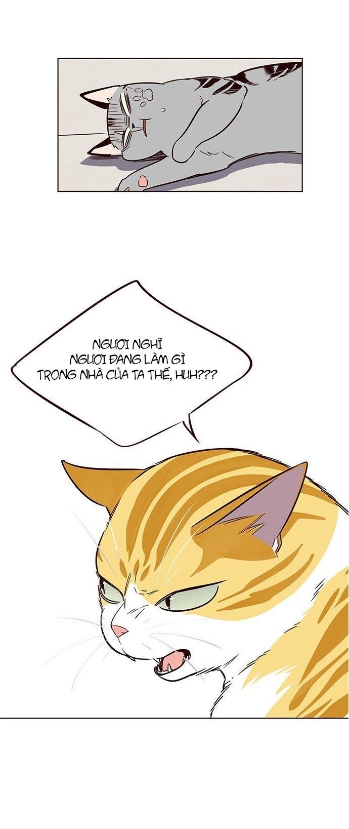 Hoá Thân Thành Mèo Chapter 7 - Trang 2