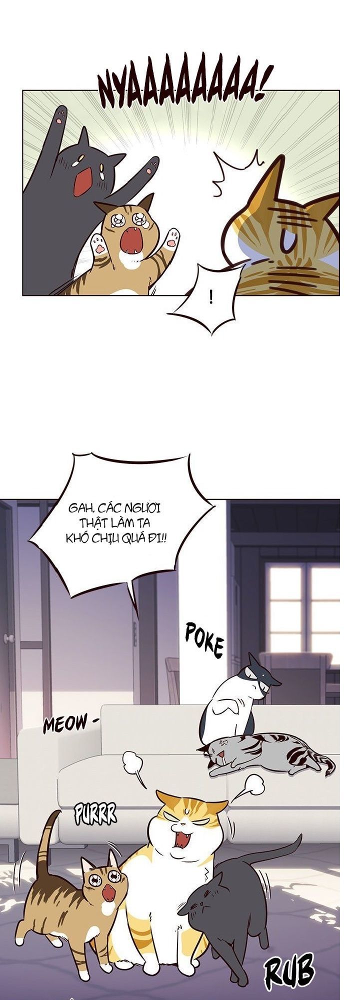 Hoá Thân Thành Mèo Chapter 7 - Trang 2