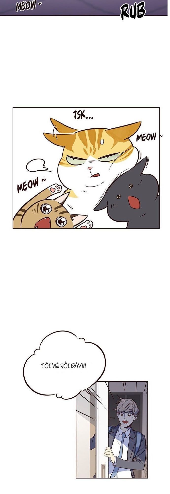Hoá Thân Thành Mèo Chapter 7 - Trang 2