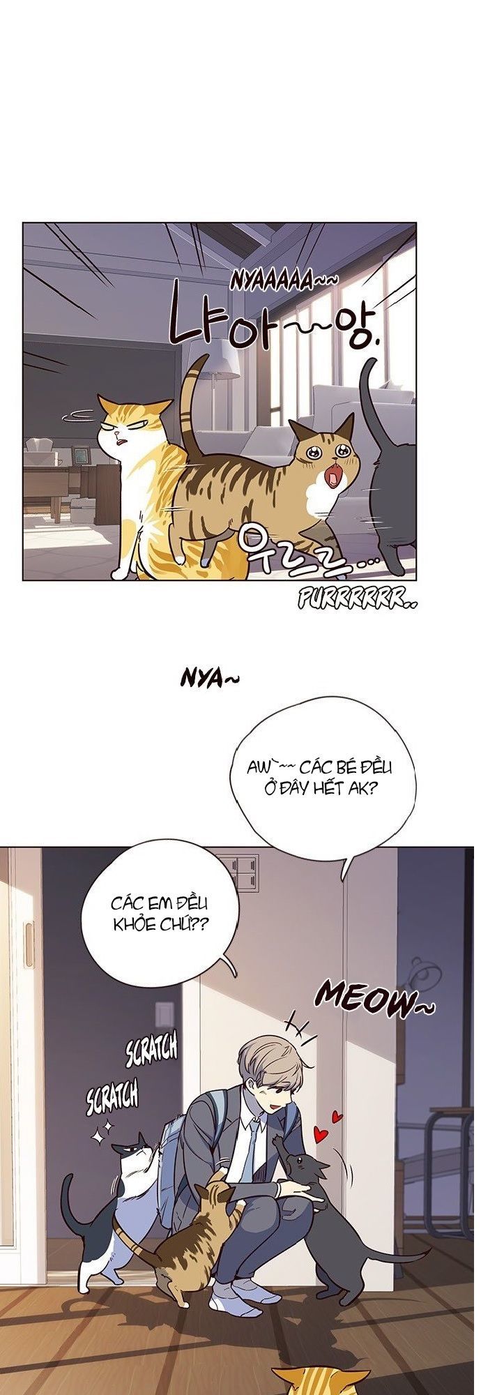 Hoá Thân Thành Mèo Chapter 7 - Trang 2