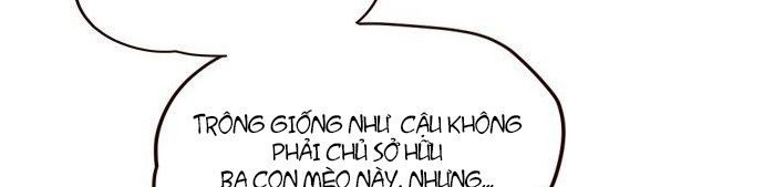 Hoá Thân Thành Mèo Chapter 7 - Trang 2