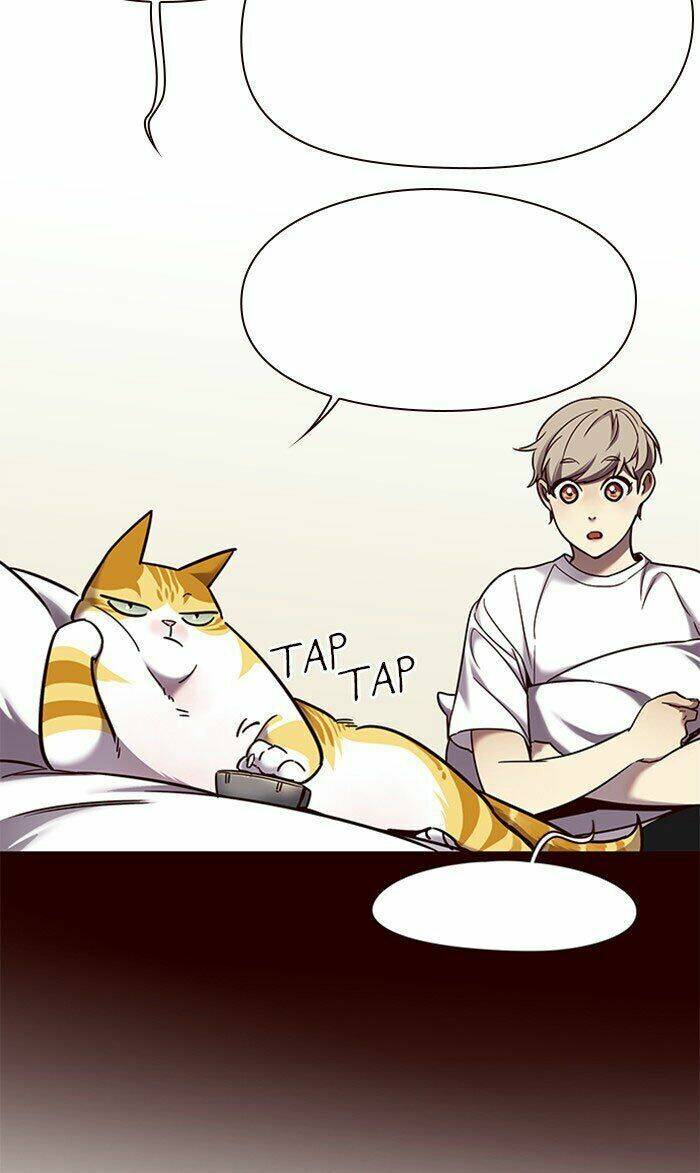 Hoá Thân Thành Mèo Chapter 75 - Trang 2