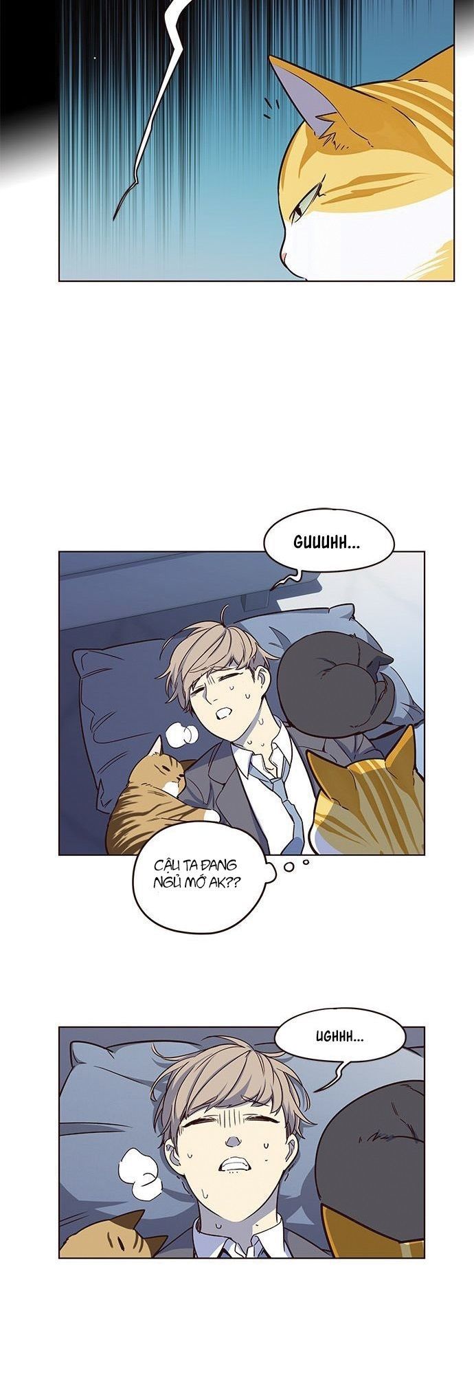 Hoá Thân Thành Mèo Chapter 8 - Trang 2