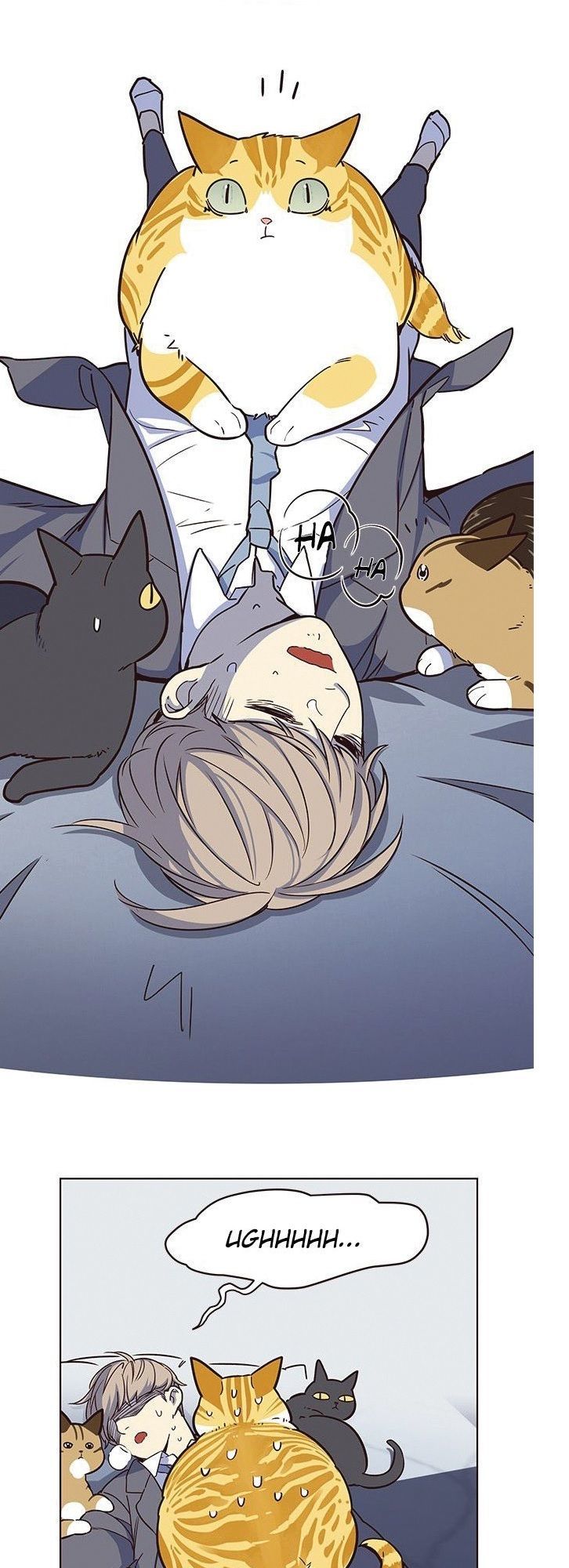 Hoá Thân Thành Mèo Chapter 8 - Trang 2