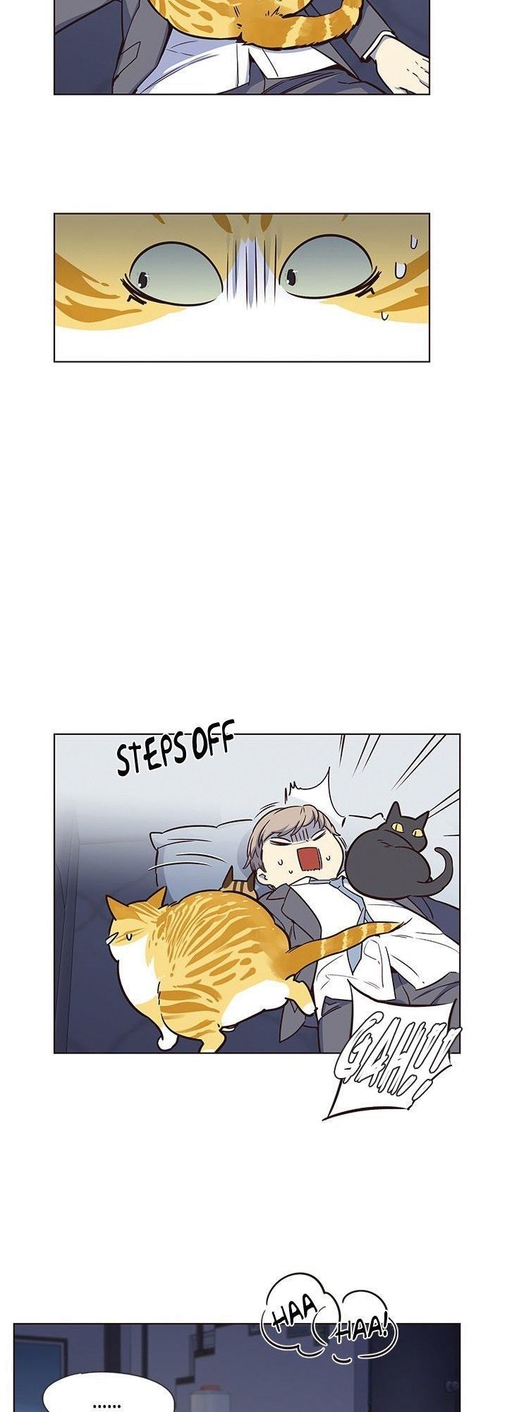 Hoá Thân Thành Mèo Chapter 8 - Trang 2