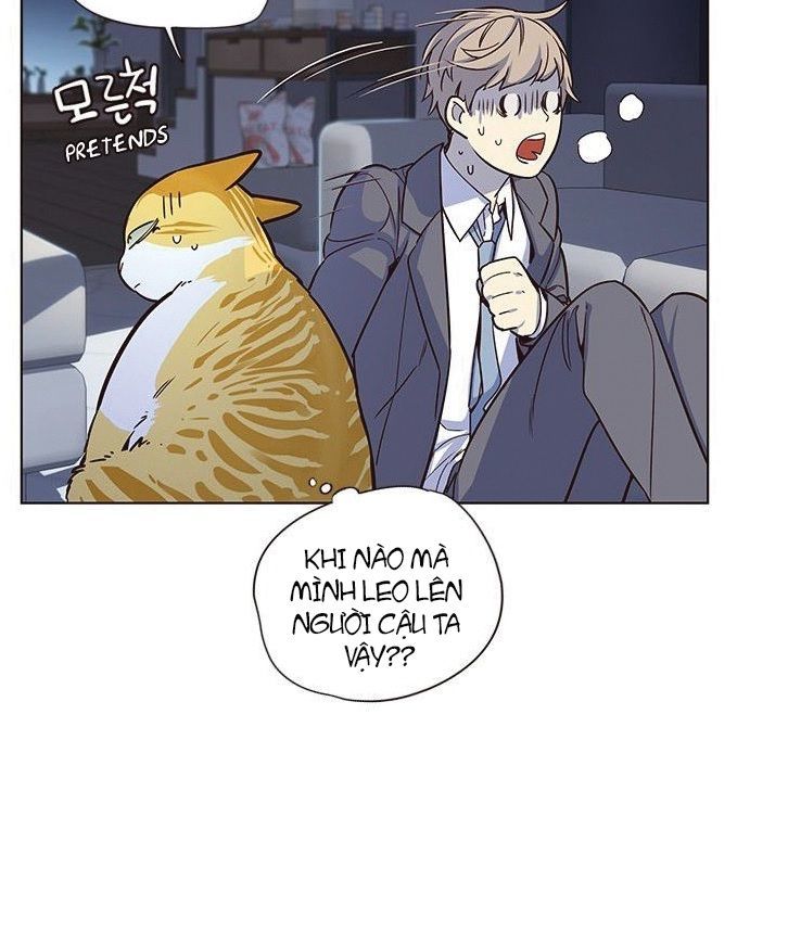 Hoá Thân Thành Mèo Chapter 8 - Trang 2