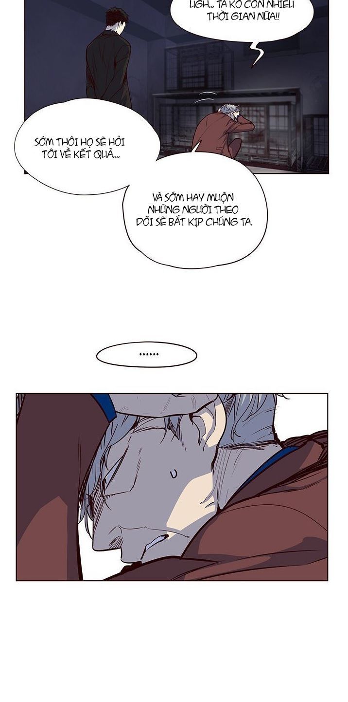 Hoá Thân Thành Mèo Chapter 8 - Trang 2