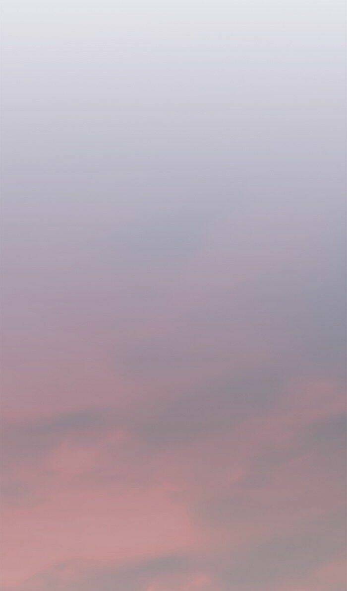 Hoá Thân Thành Mèo Chapter 80 - Trang 2