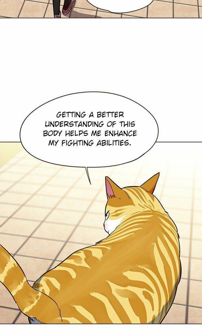 Hoá Thân Thành Mèo Chapter 80 - Trang 2