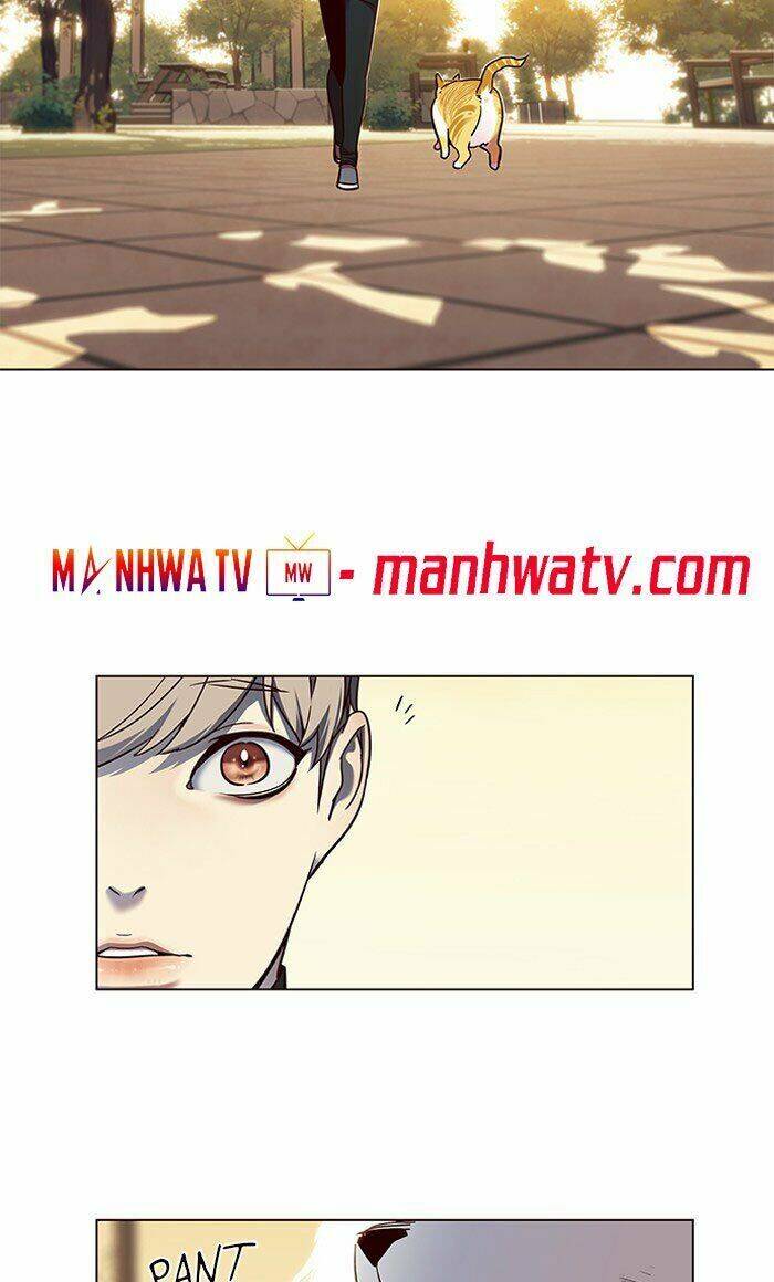 Hoá Thân Thành Mèo Chapter 80 - Trang 2