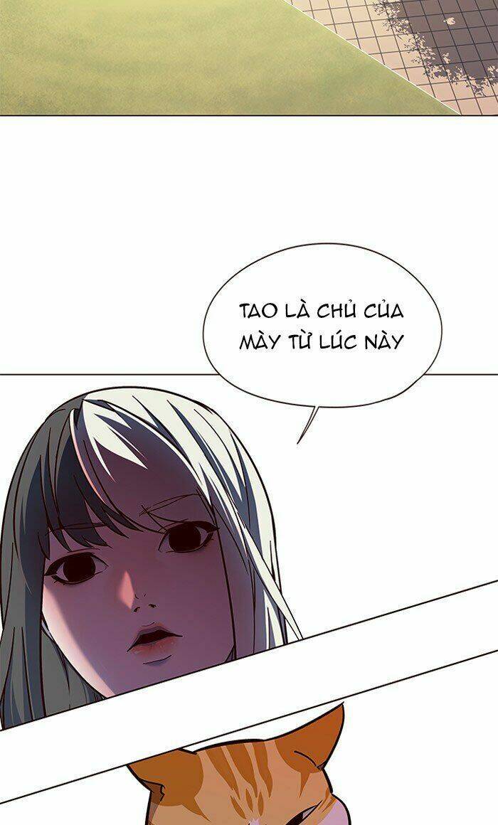 Hoá Thân Thành Mèo Chapter 80 - Trang 2