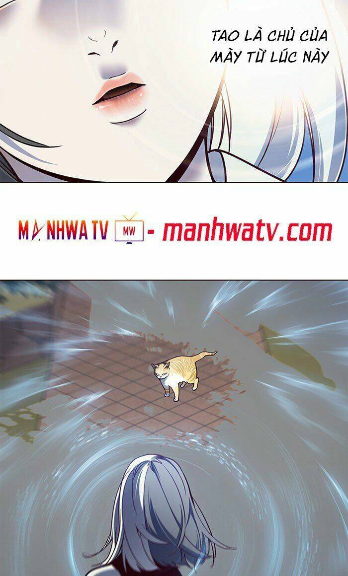 Hoá Thân Thành Mèo Chapter 80 - Trang 2