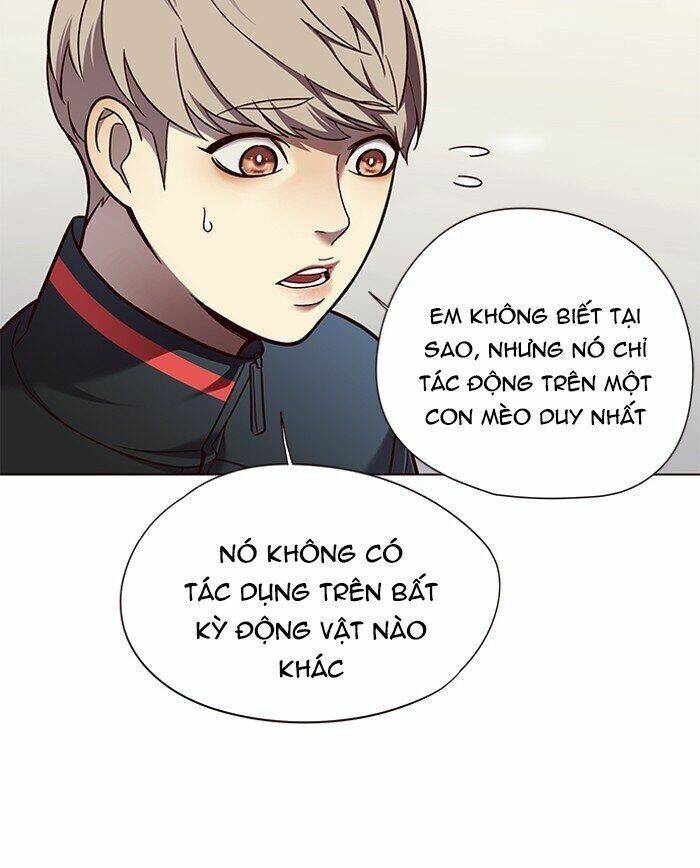 Hoá Thân Thành Mèo Chapter 81 - Trang 2