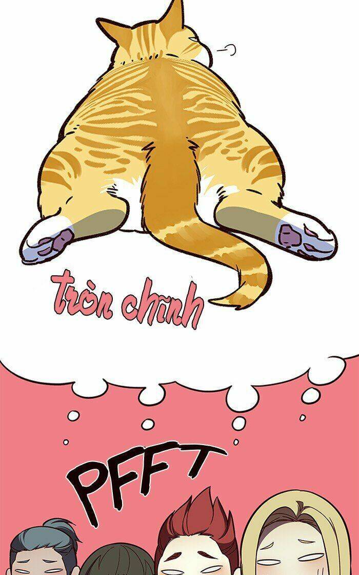 Hoá Thân Thành Mèo Chapter 81 - Trang 2