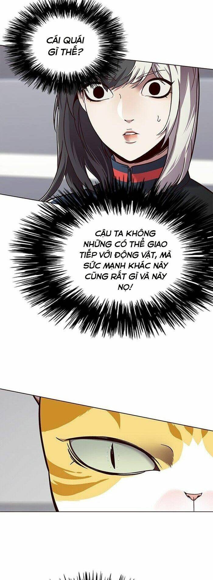 Hoá Thân Thành Mèo Chapter 87 - Trang 2