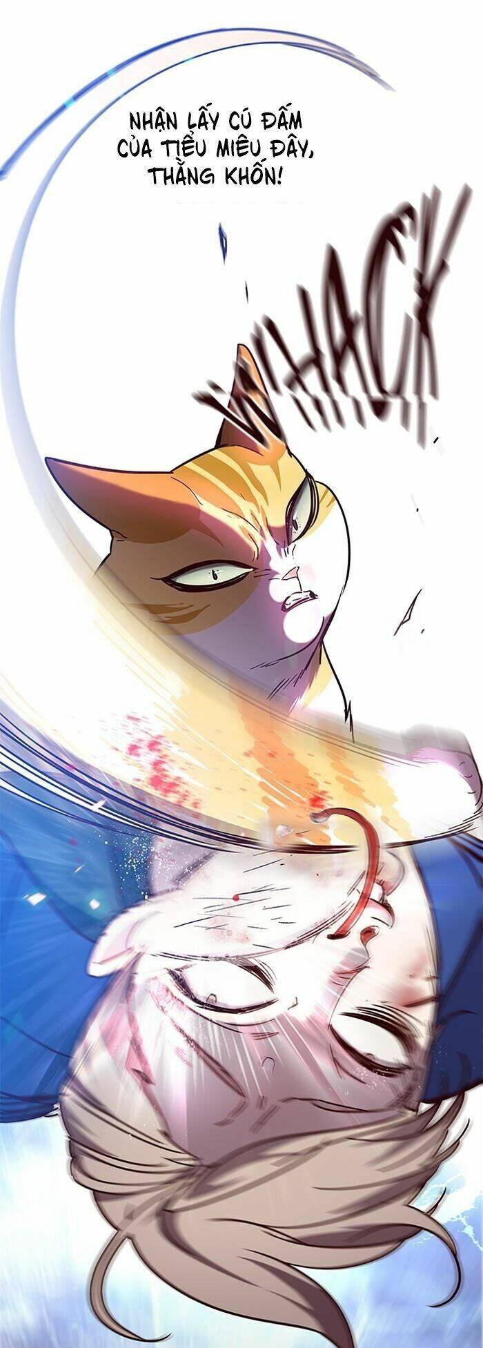 Hoá Thân Thành Mèo Chapter 89 - Trang 2